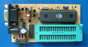 ZY-251΢�ͱ����