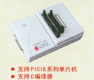 PICMATE2002ʵʱ���߷�����